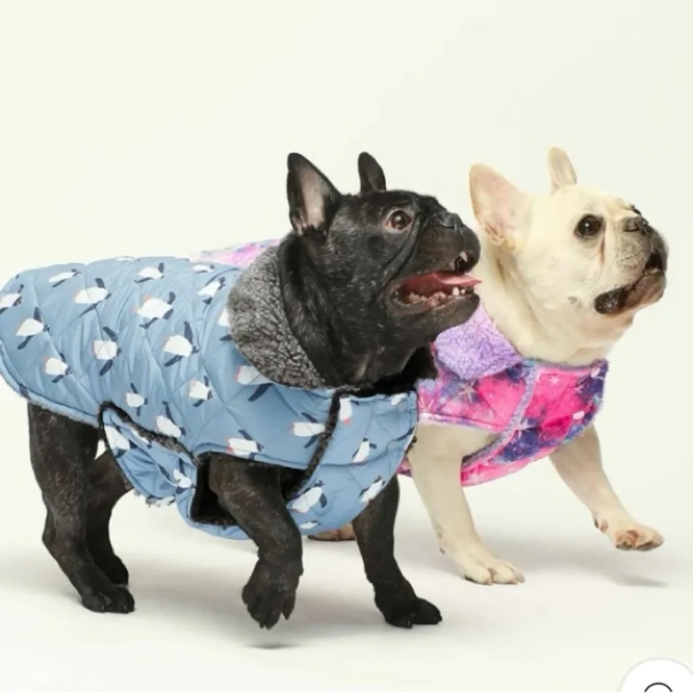 NWT Fitwarm Waterproof Reversible Penguin/Galaxy Dog Coat Size Large
